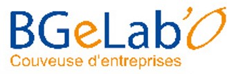 logo couveuse BGeLab'O Le logo de la couveuse d'entreprises BGeLa'O à la Rôche sur Yon