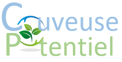 Logo couveuse de potentiel La couveuse de Potentiel de la Réunion fait partie du réseau des couveuses d'entreprises