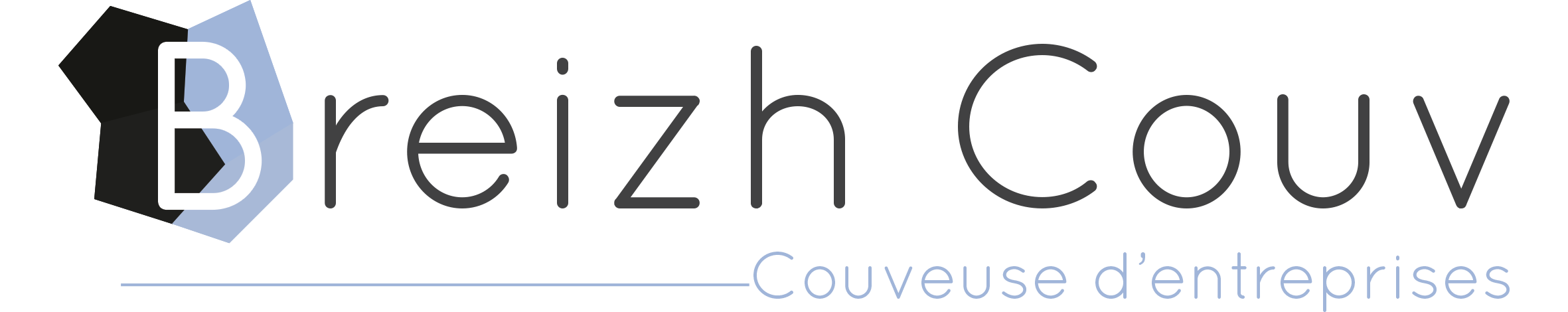 cropped-breiz-couv.png