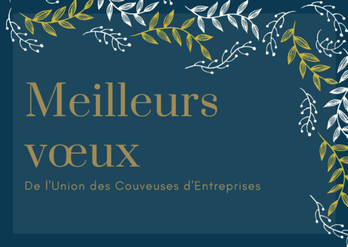 Joyeuses fêtes 1